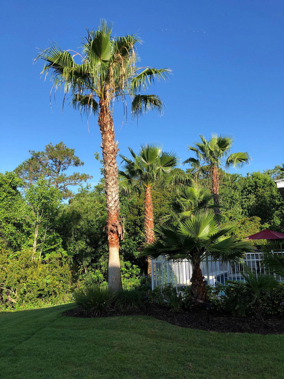 Reunion Resort rentals Orlando near Disney